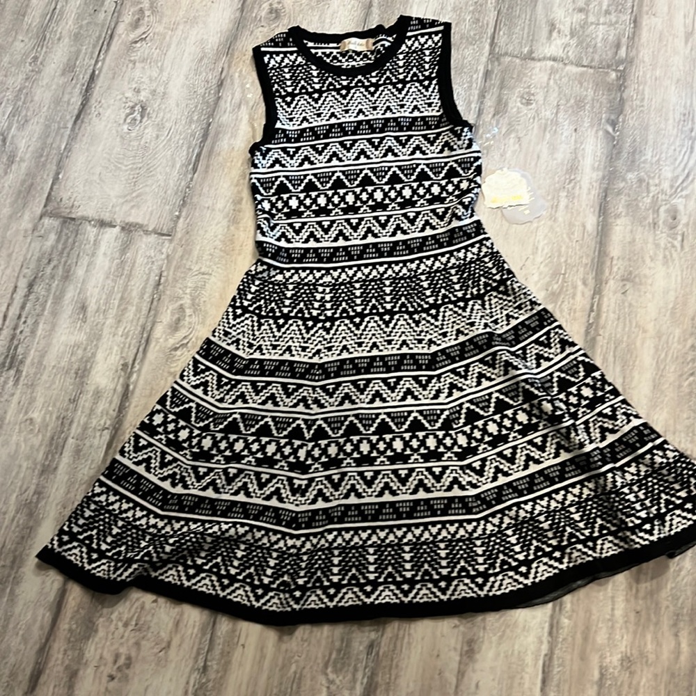 Altar’d State skater sweater dress NWT
